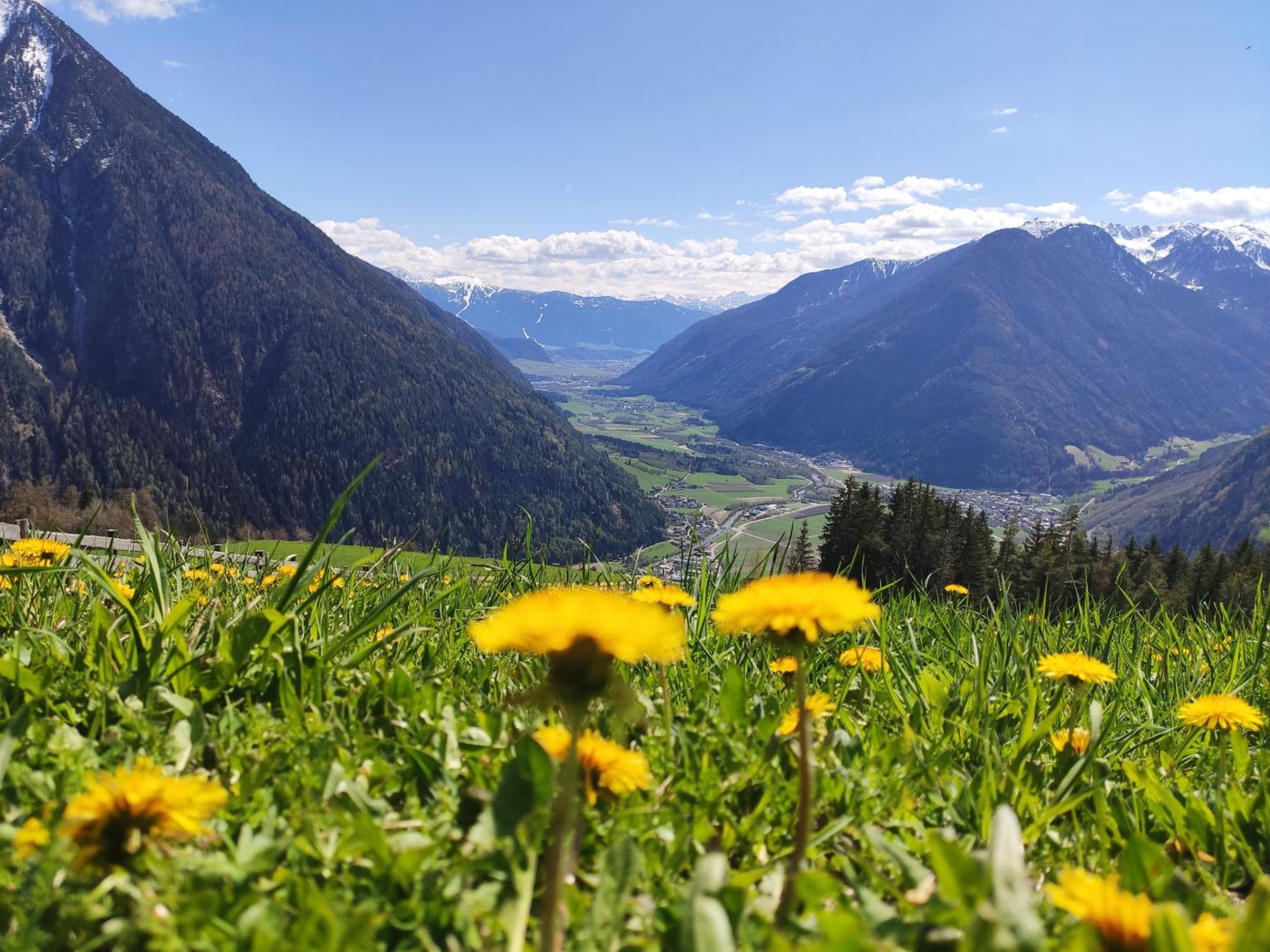 Roanerhof Aparthotel Campo Tures Bagian luar foto