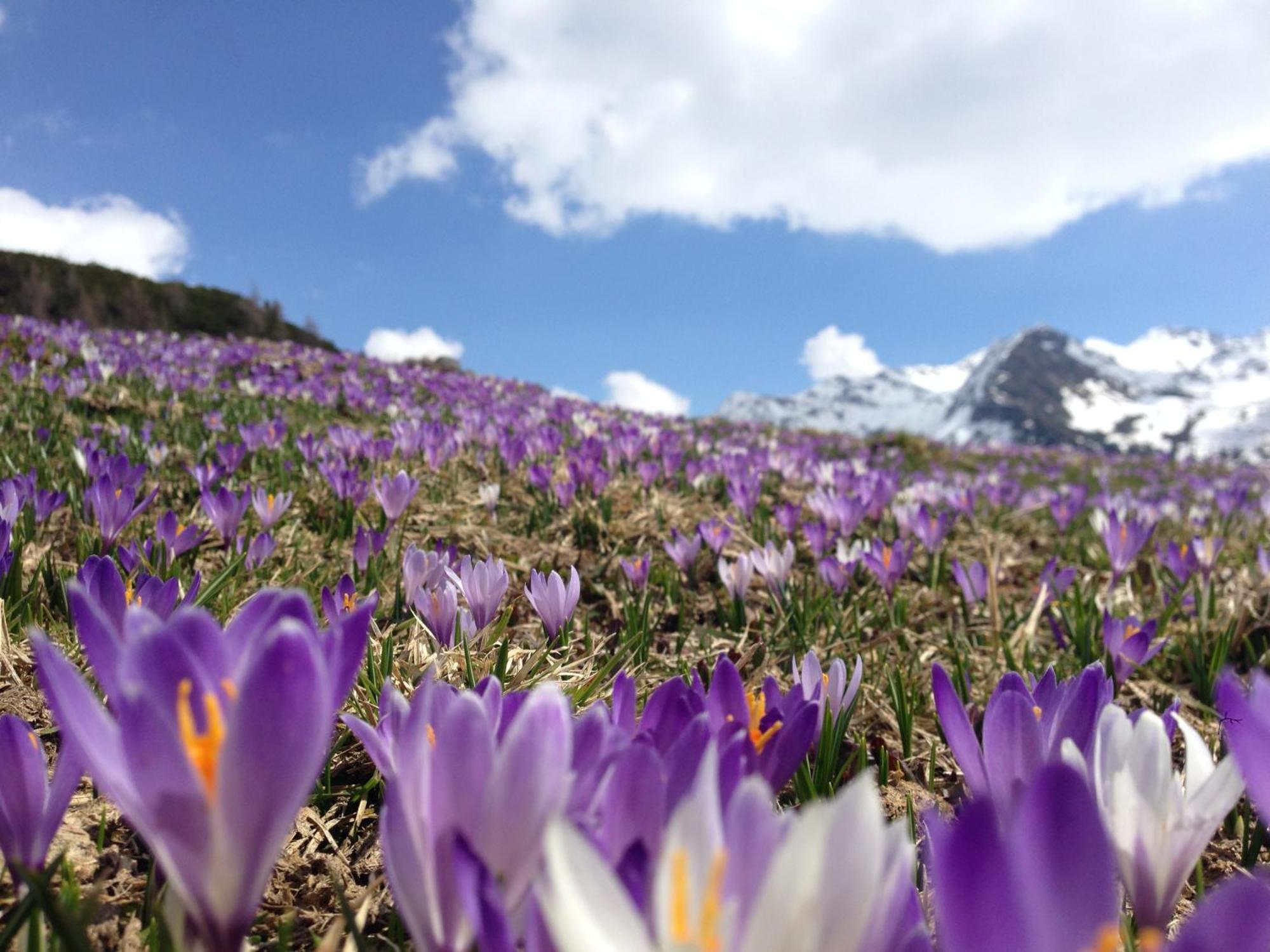 Roanerhof Aparthotel Campo Tures Bagian luar foto